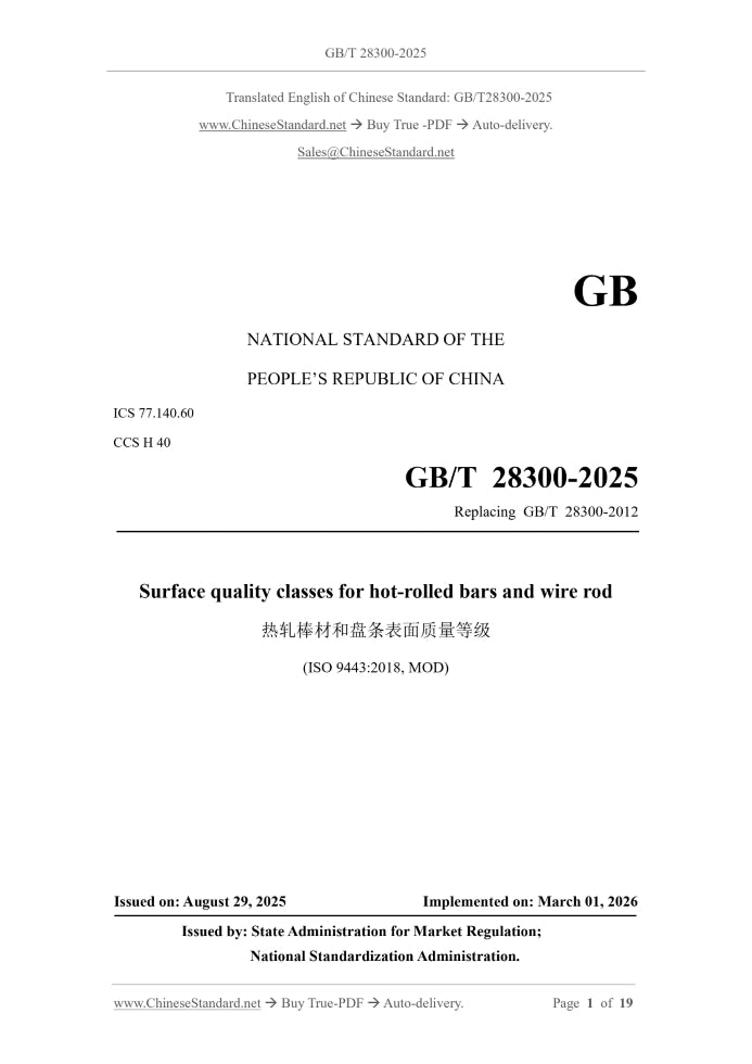 GB/T 28300-2025 Page 1