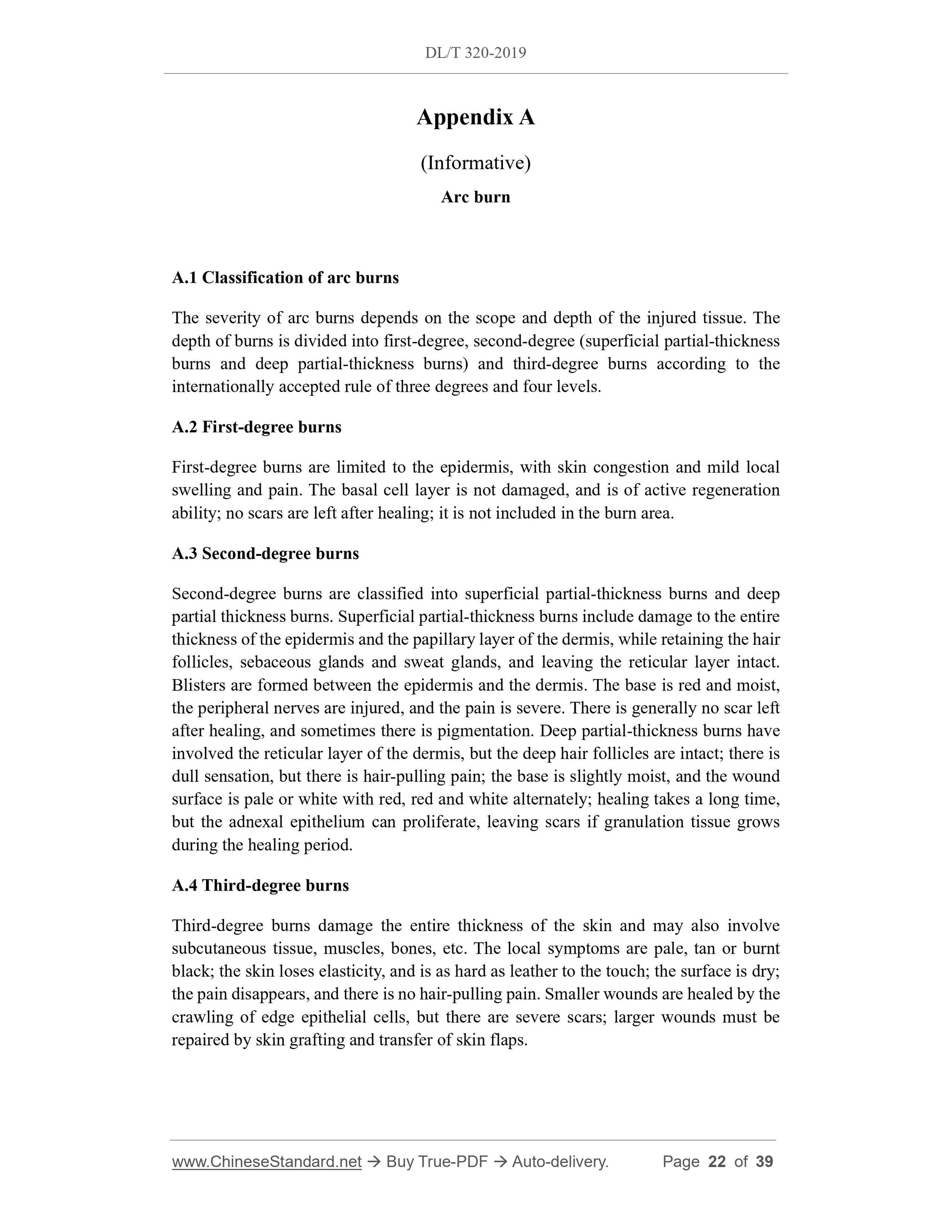 DL/T 320-2019 Page 10