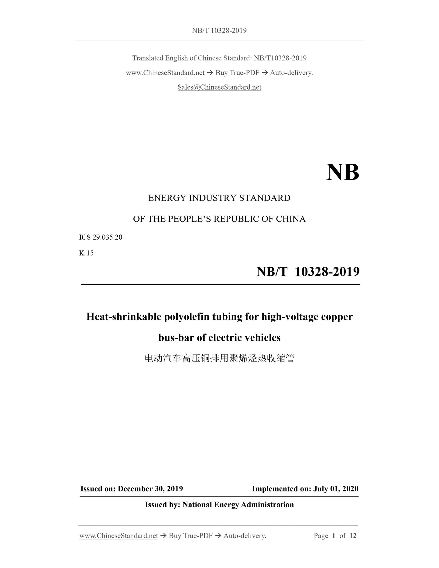 NB/T 10328-2019 Page 1
